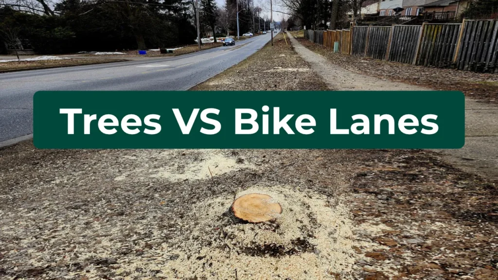 What’s Really Happening on Boler Road?