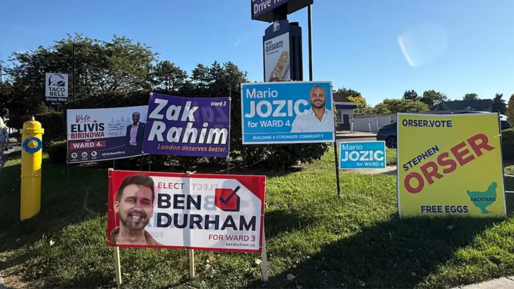 My worry about Election Sign removals